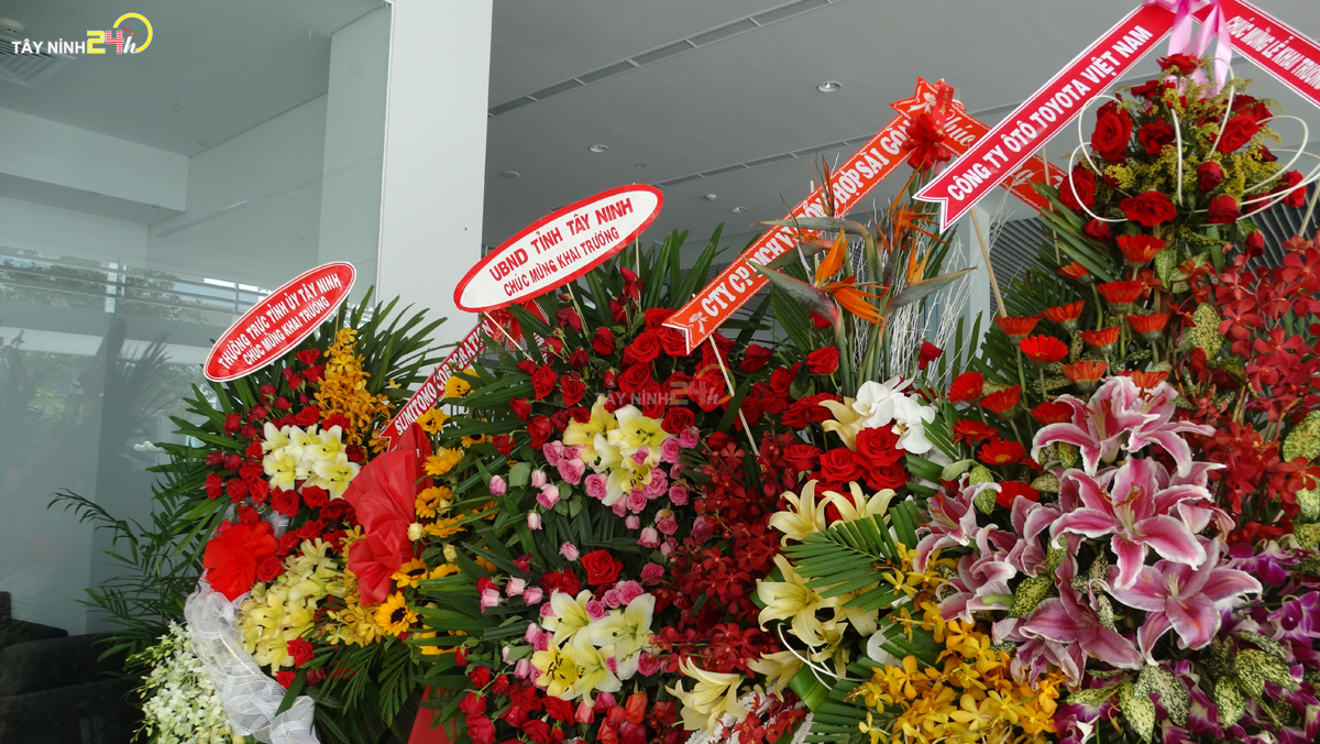 toyota-tay-ninh-tayninh24hvn (3).jpg