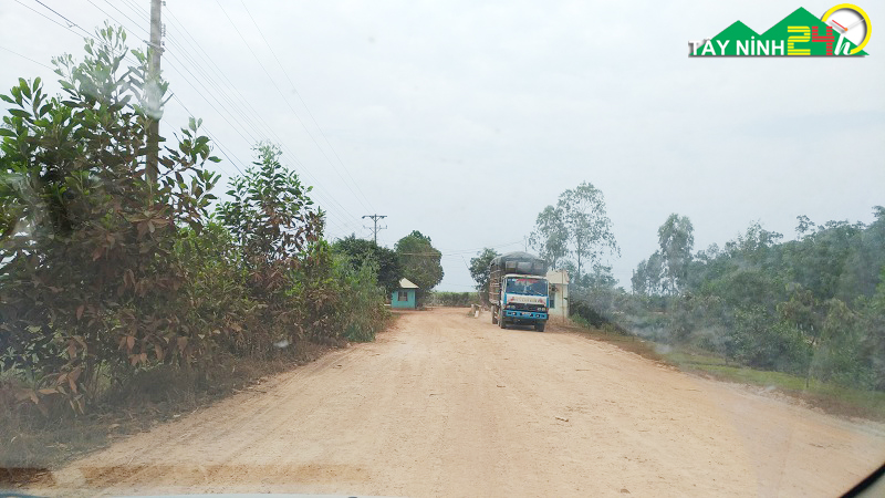 ban-lo-cao-su-13ha-gan-nong-truong-mia-thanh-long-tay-ninh-6.jpg