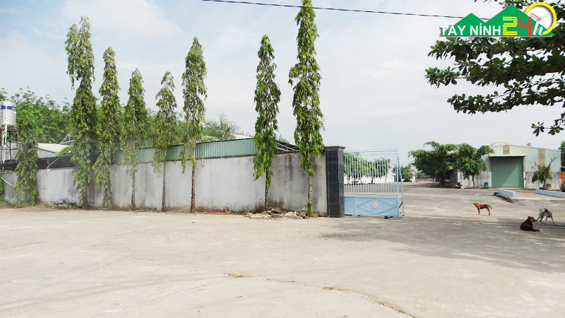 ban-nha-xuong-binh-minh-tp-tayninh-12.jpg