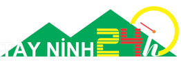 Logo TayNinh24h- 262x100px.png