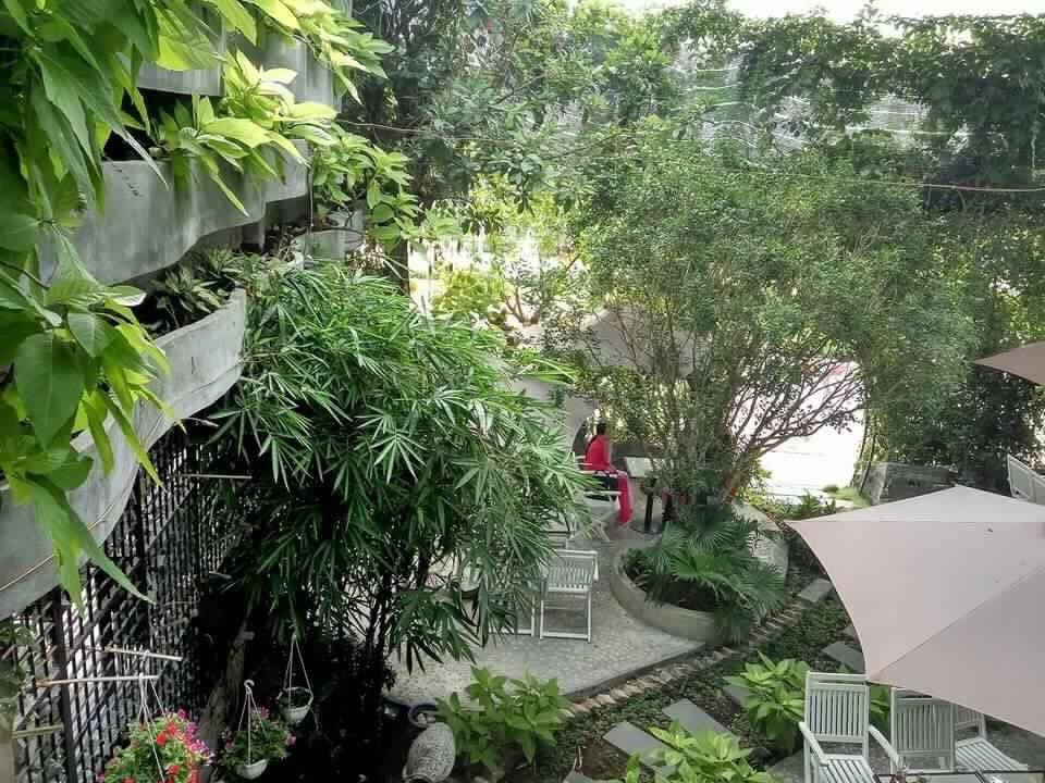 quan-cafe-ngon-tay-ninh (8).jpg