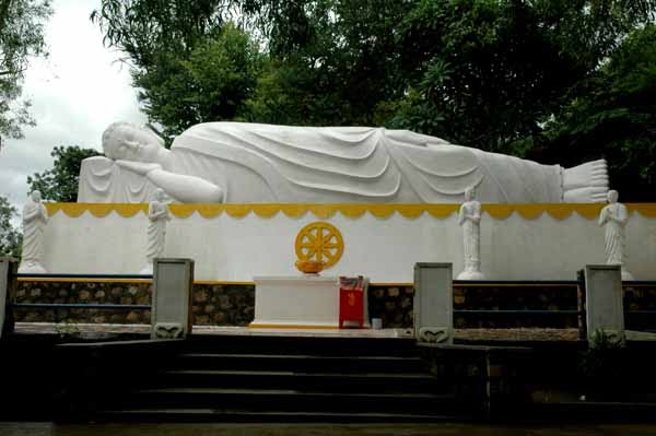 Thich-Ca-Phat-Dai-tây-ninh-24h.jpg