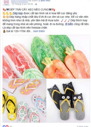 dép-mới-3d-rau-thit-quả-2017-tây-ninh-24h (11).jpg